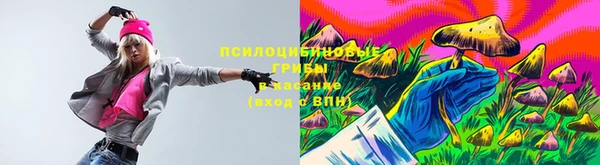 PSILOCYBIN Алзамай