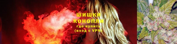 PSILOCYBIN Алзамай