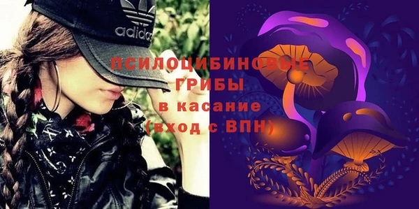 трава Аркадак