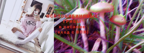 прущая мука Армянск