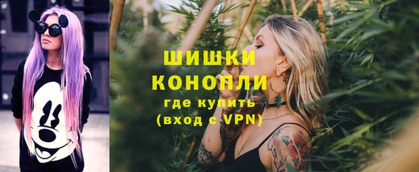 трава Аркадак