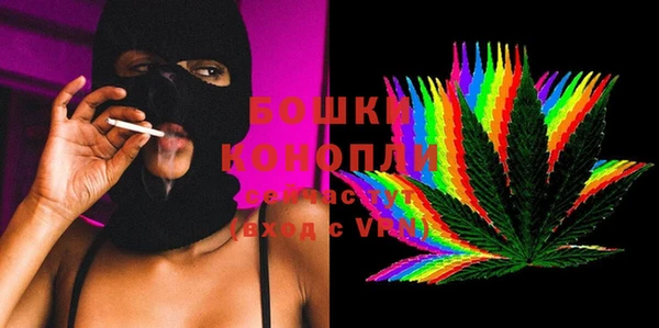 PSILOCYBIN Алзамай