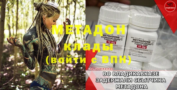 трава Аркадак